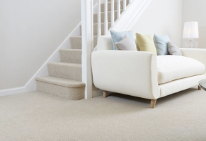Perfect carpet for your stairs