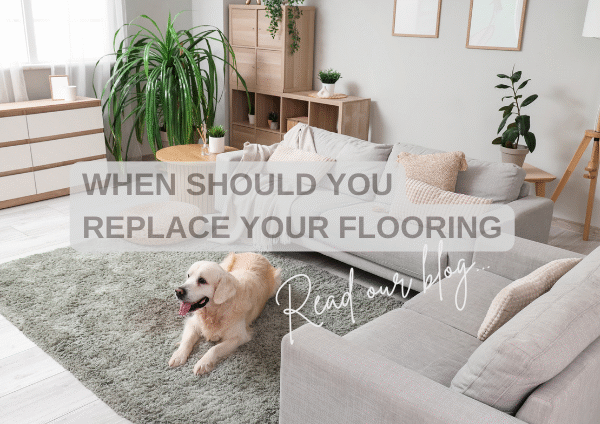 Best time replace carpet / flooring